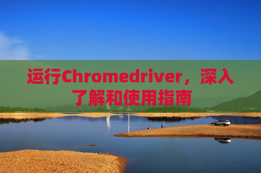 运行Chromedriver，深入了解和使用指南