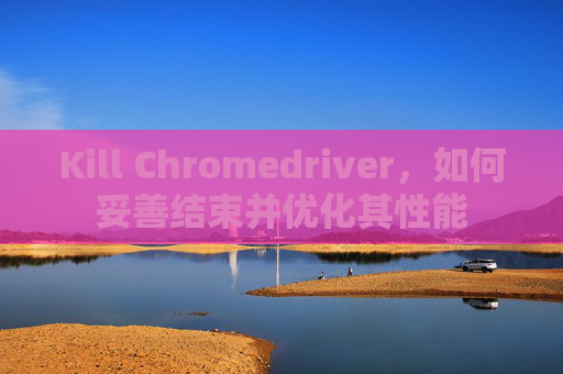 Kill Chromedriver，如何妥善结束并优化其性能
